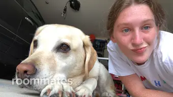 Roommate looking Batavia, IL, $1000