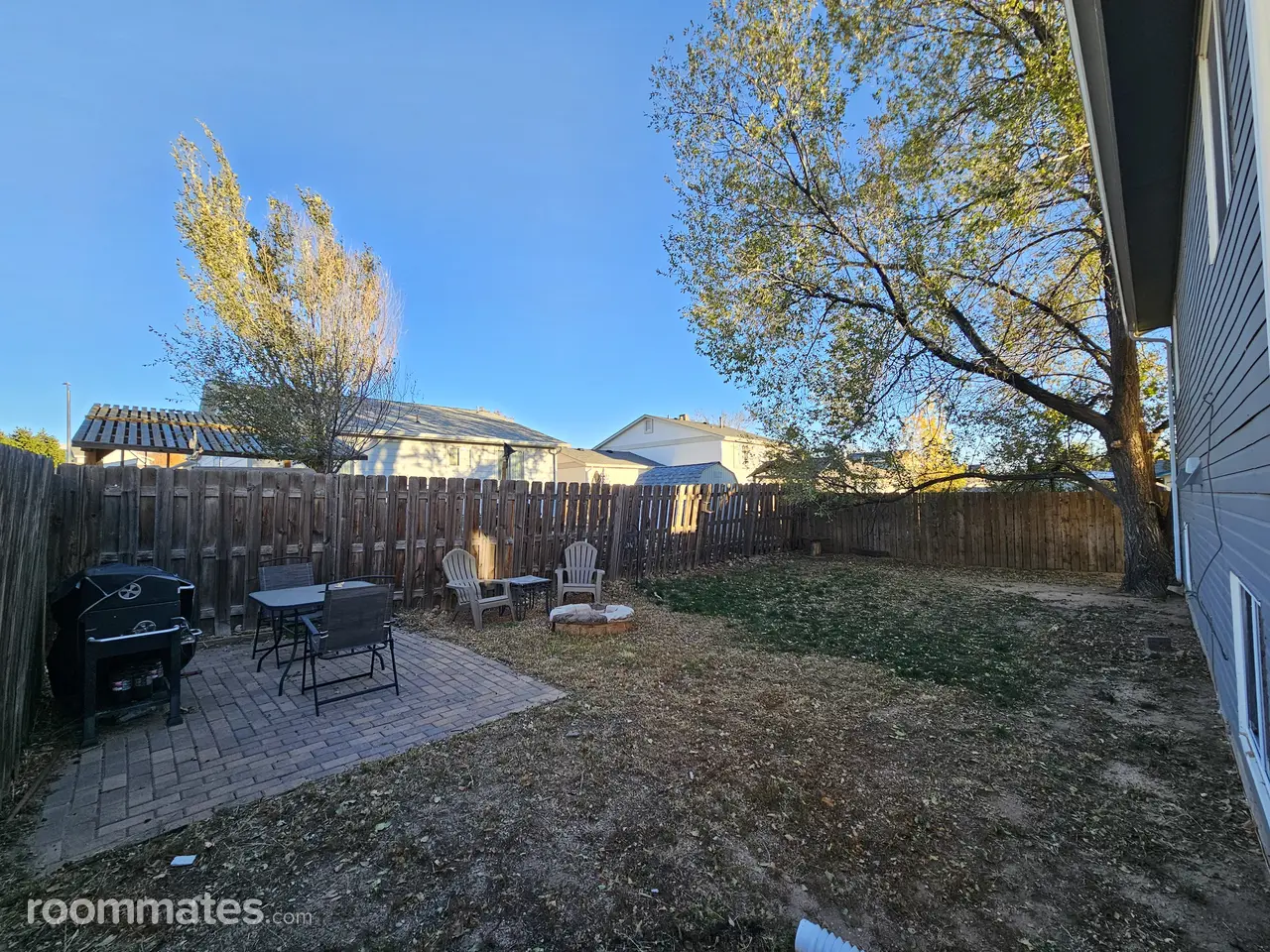 Profile photo 8 of 9