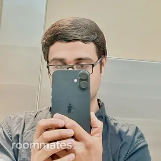 Roommate looking Pearland, TX, $900