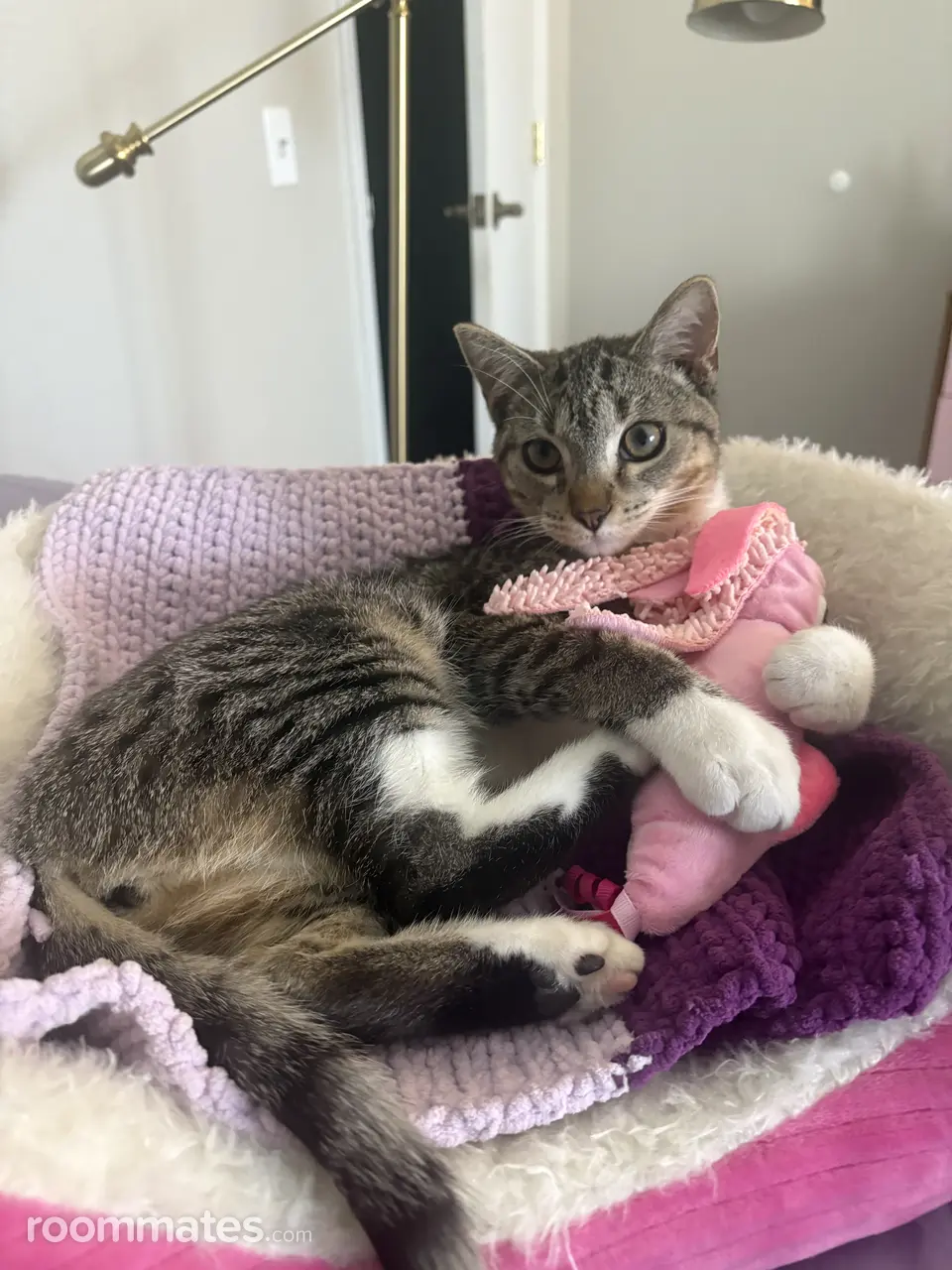 Profile photo 3 of 7