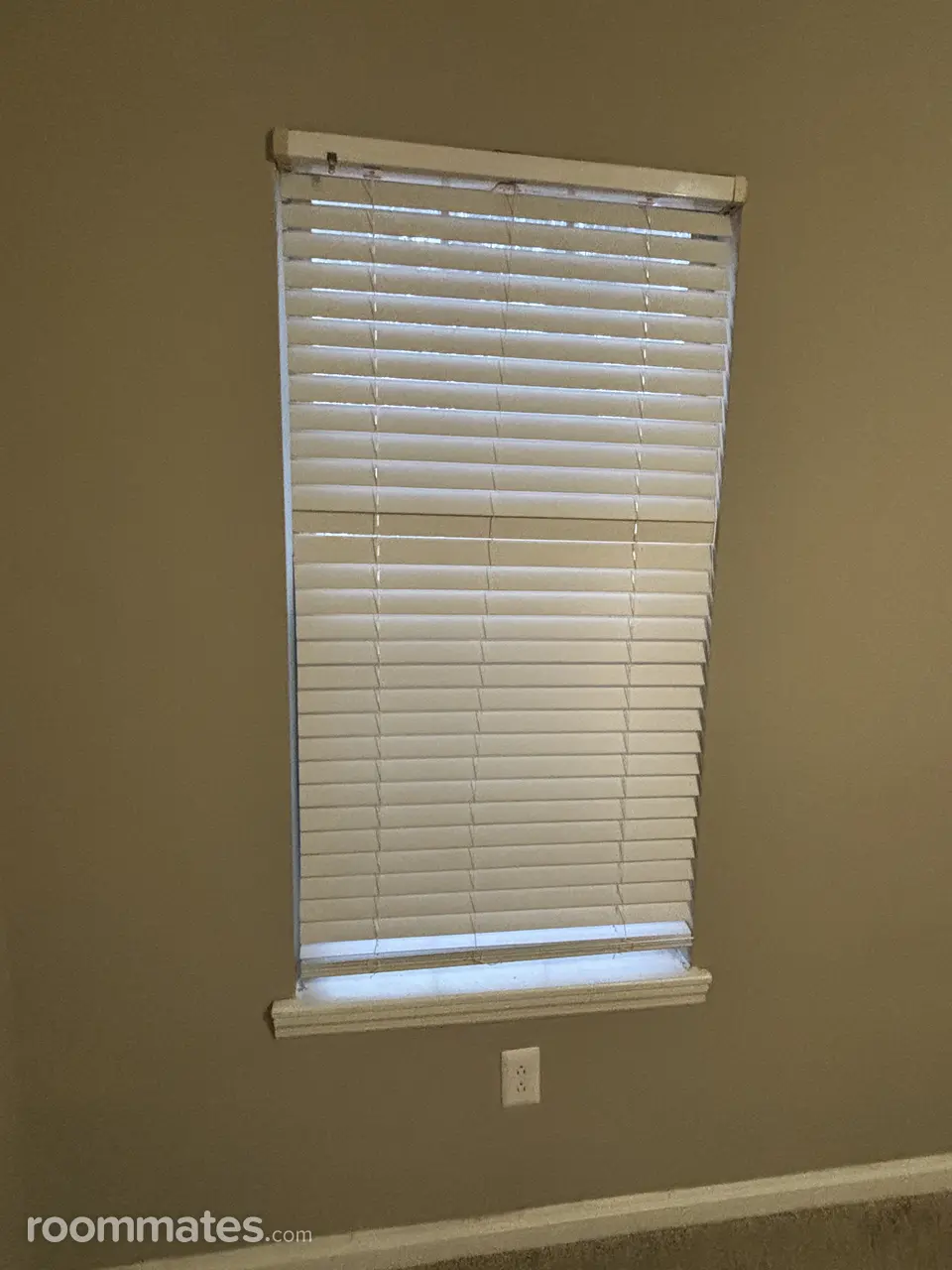 Profile photo 5 of 16