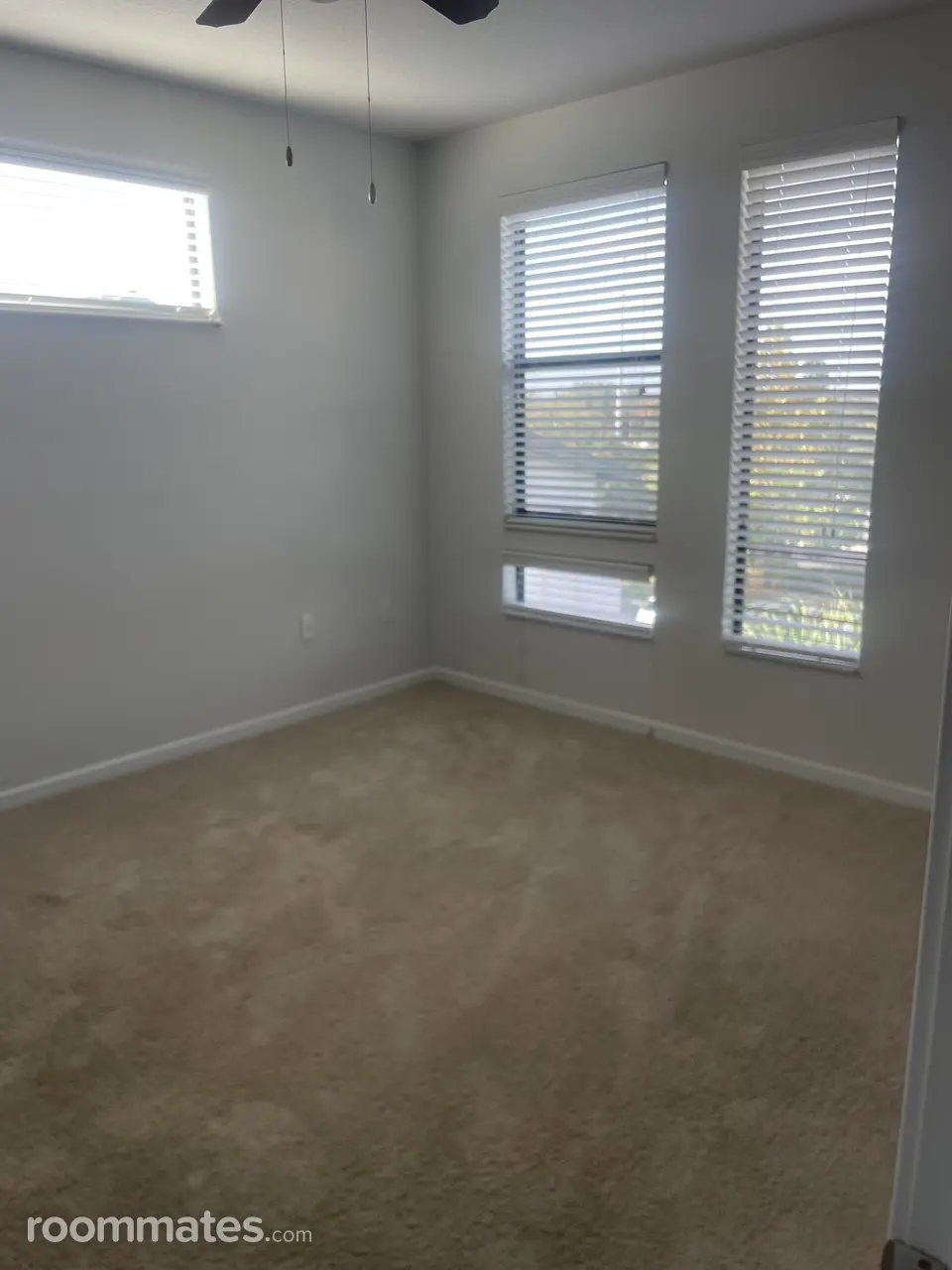 Profile photo 2 of 8