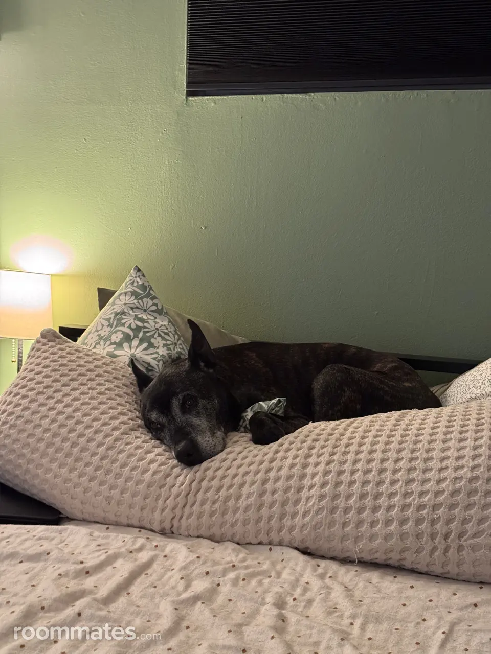 Profile photo 9 of 10