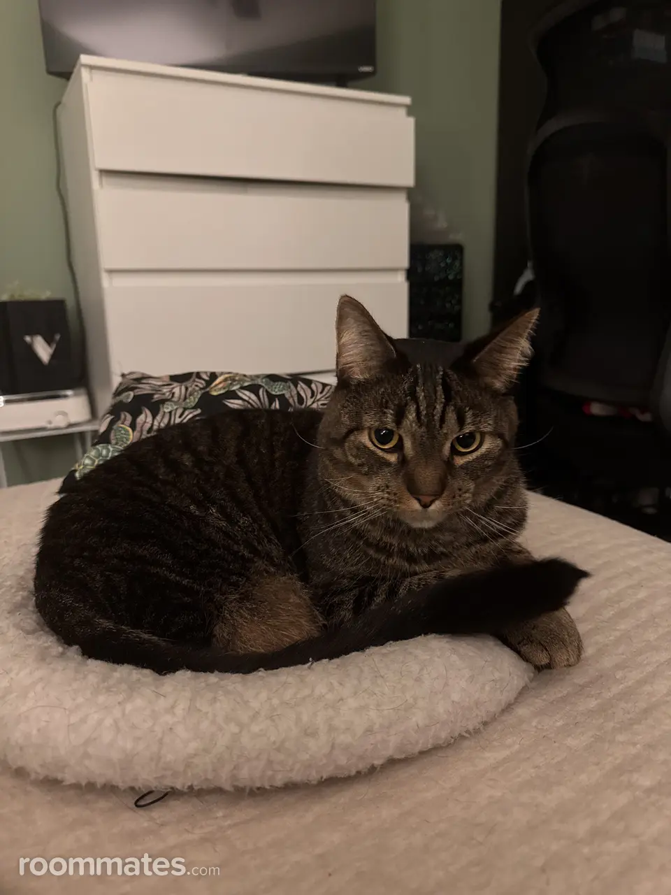 Profile photo 8 of 10