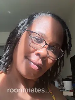 Roommate looking Iowa City IA, $600