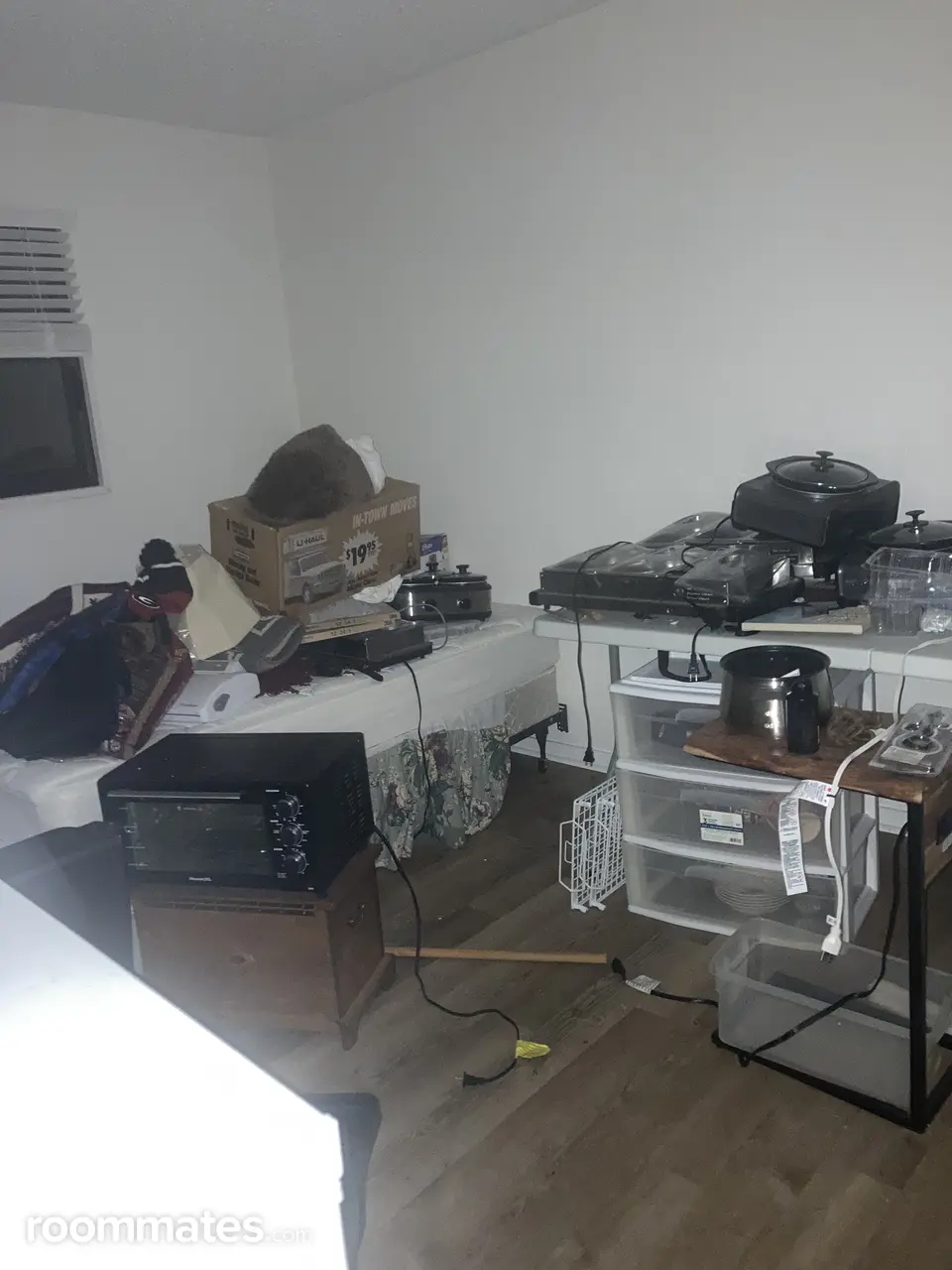 Profile photo 4 of 11