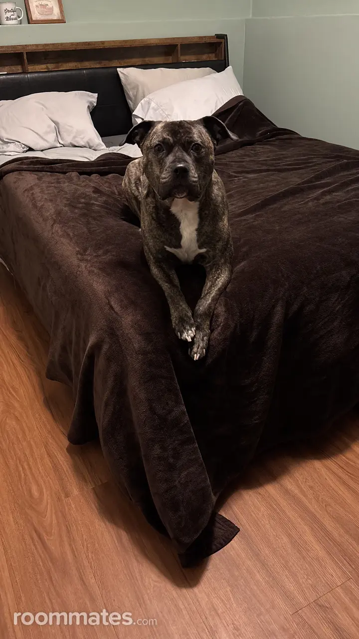 Profile photo 2 of 3