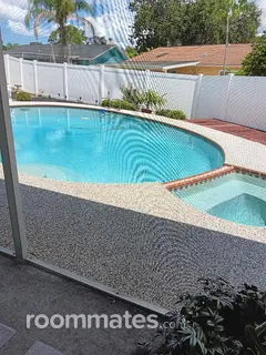 Room for rent in Safety Harbor, FL $900, house