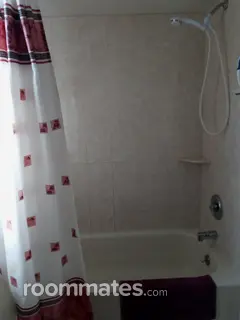 Room for rent in Safety Harbor, FL $900, house