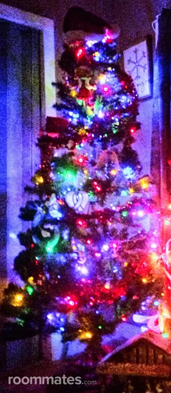 Profile photo 14 of 17