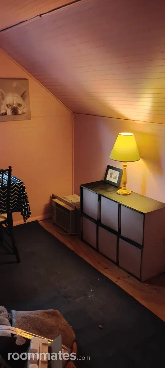 Profile photo 4 of 17