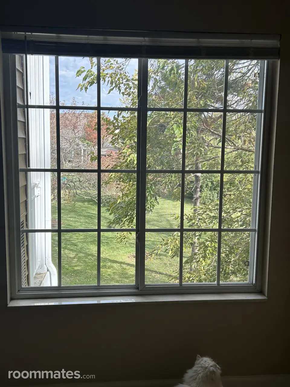 Profile photo 7 of 11