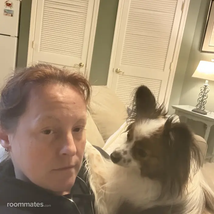 Roommate looking Parkville, MD, $600