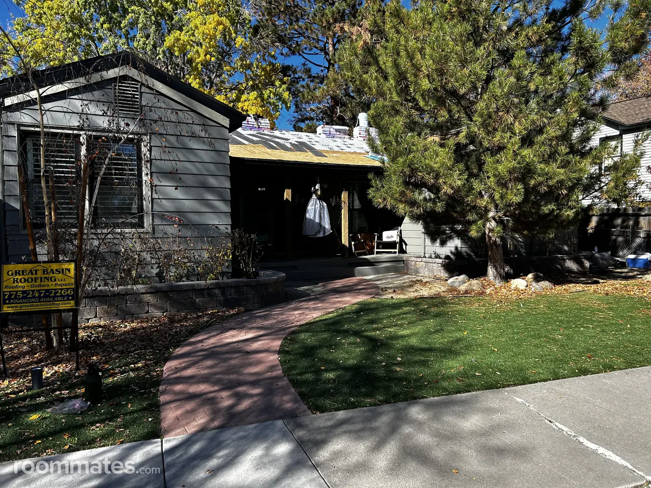 Profile photo 10 of 11