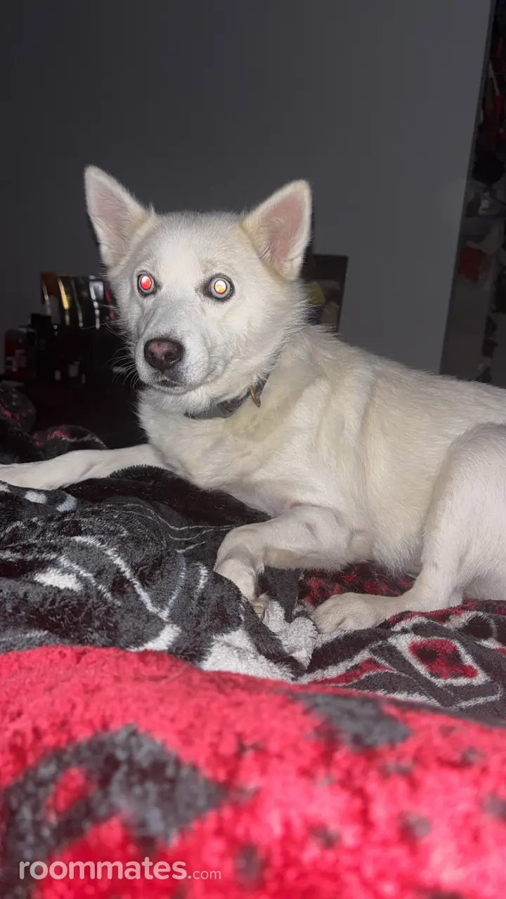 Profile photo 2 of 4