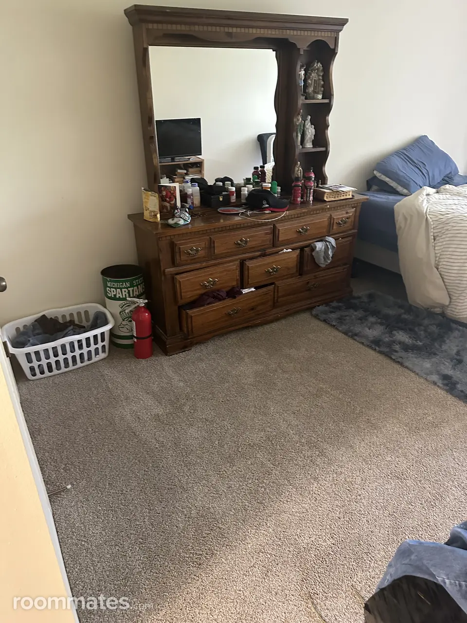 Profile photo 7 of 11