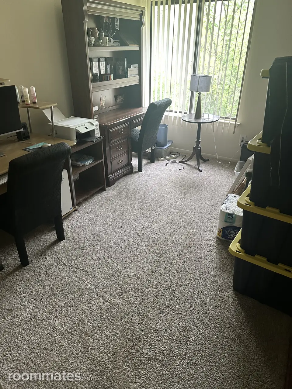 Profile photo 10 of 11