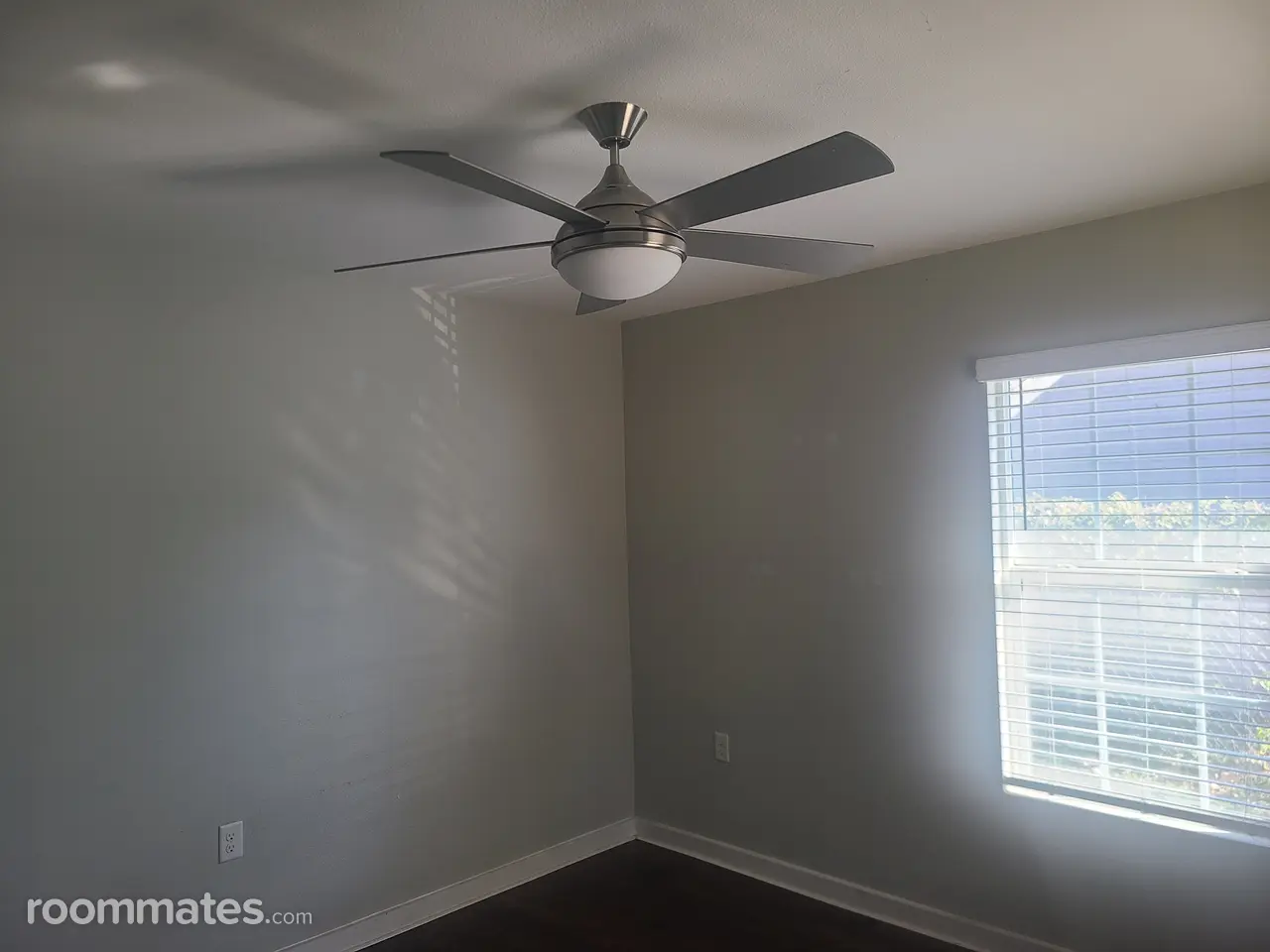 Profile photo 8 of 11