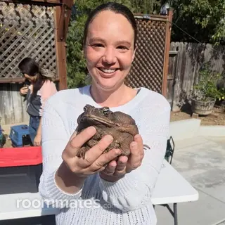 Roommate looking Campbell, CA, $1100