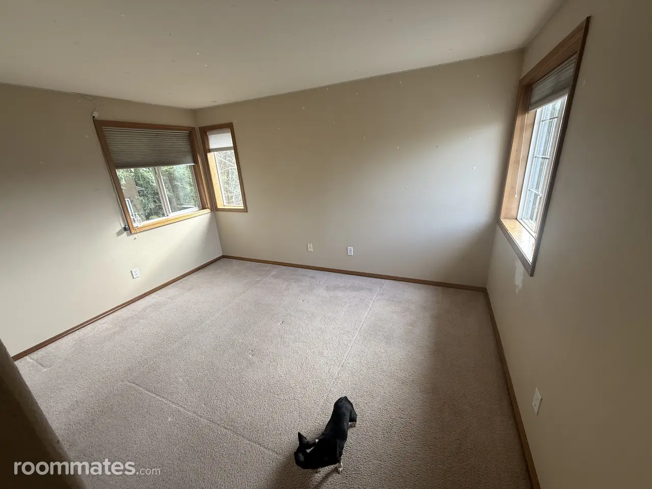 Profile photo 2 of 10