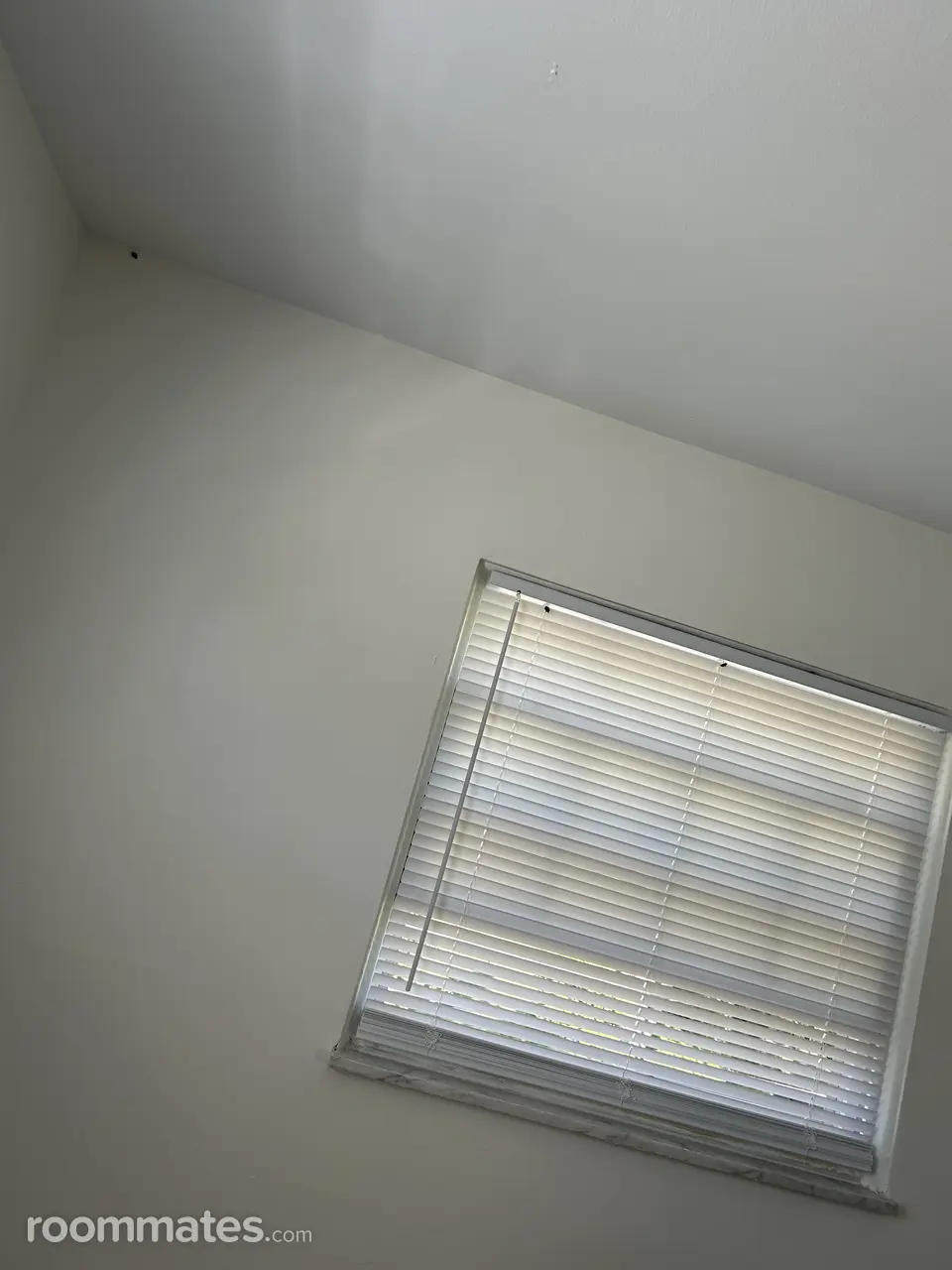 Profile photo 3 of 16