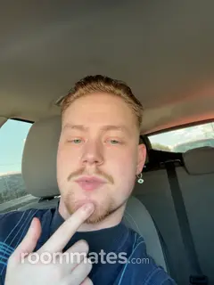 Roommate looking Nashville, TN, $1200