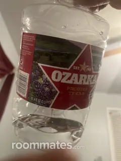 Roommate looking Little Rock, AR, $900