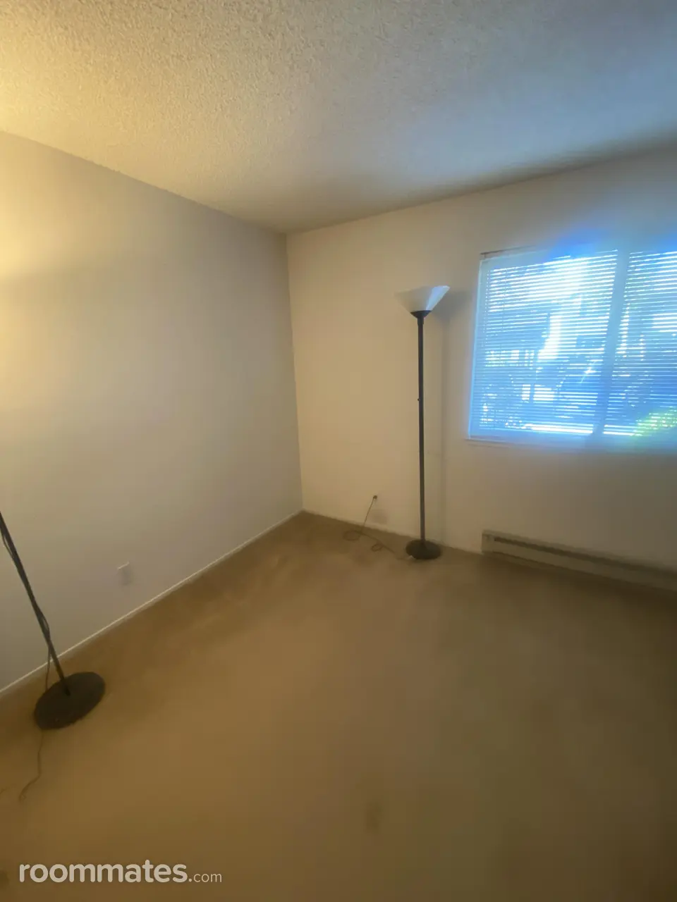 Profile photo 2 of 4