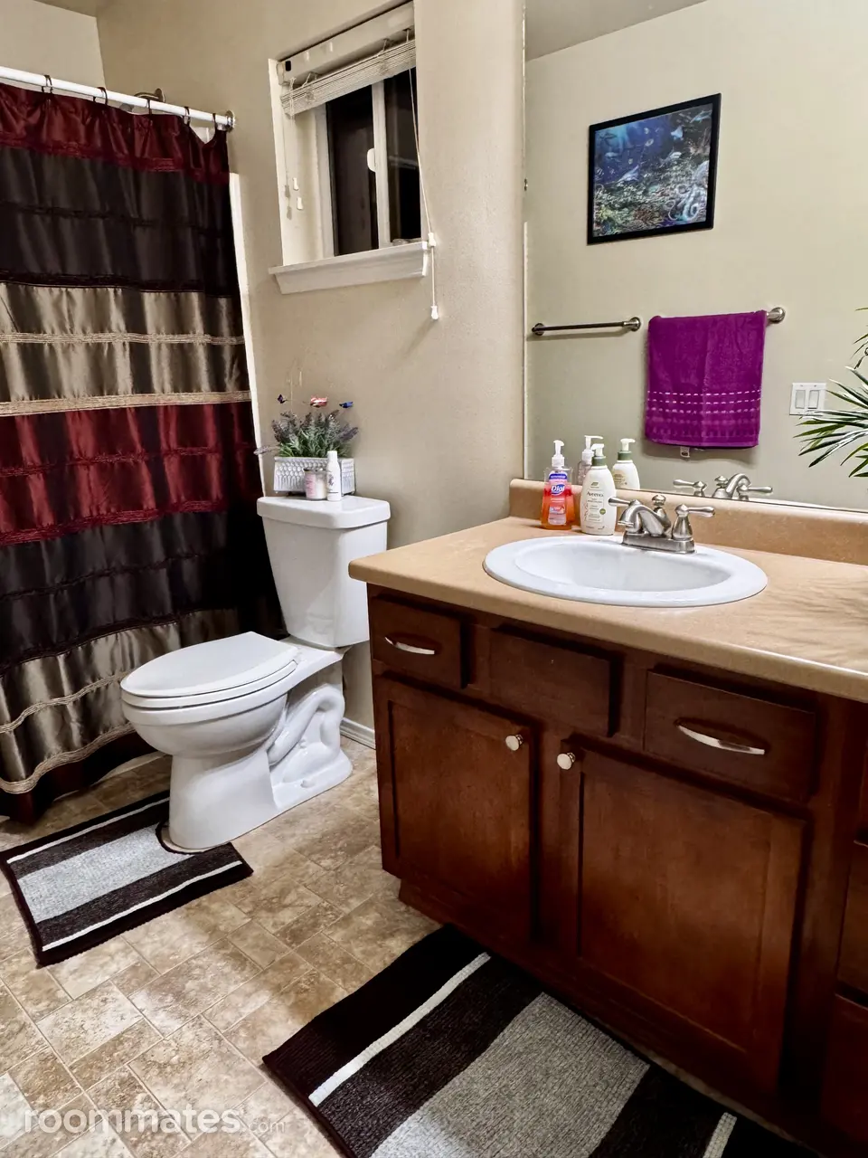 Profile photo 9 of 11