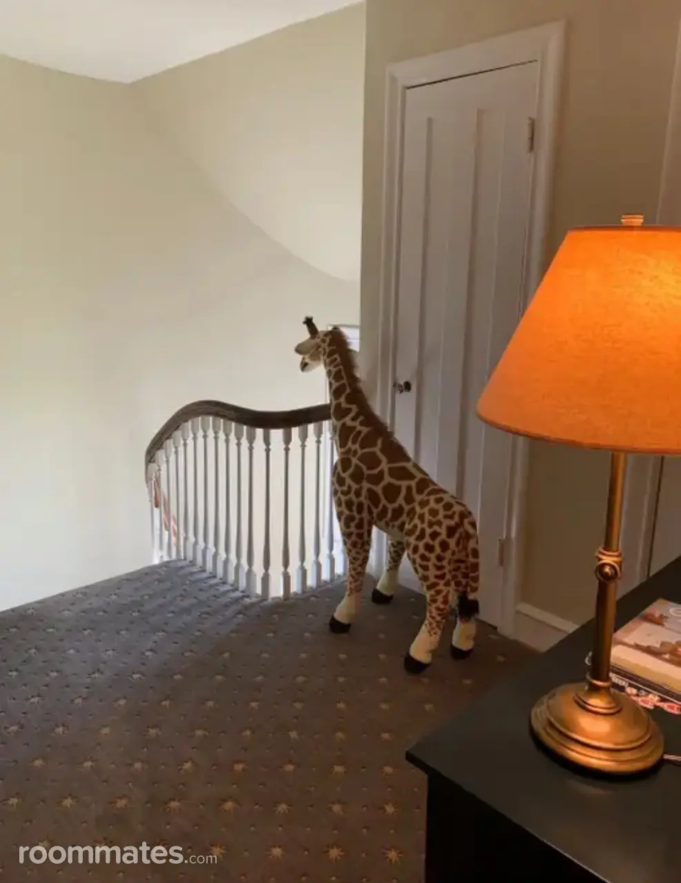 Profile photo 2 of 3