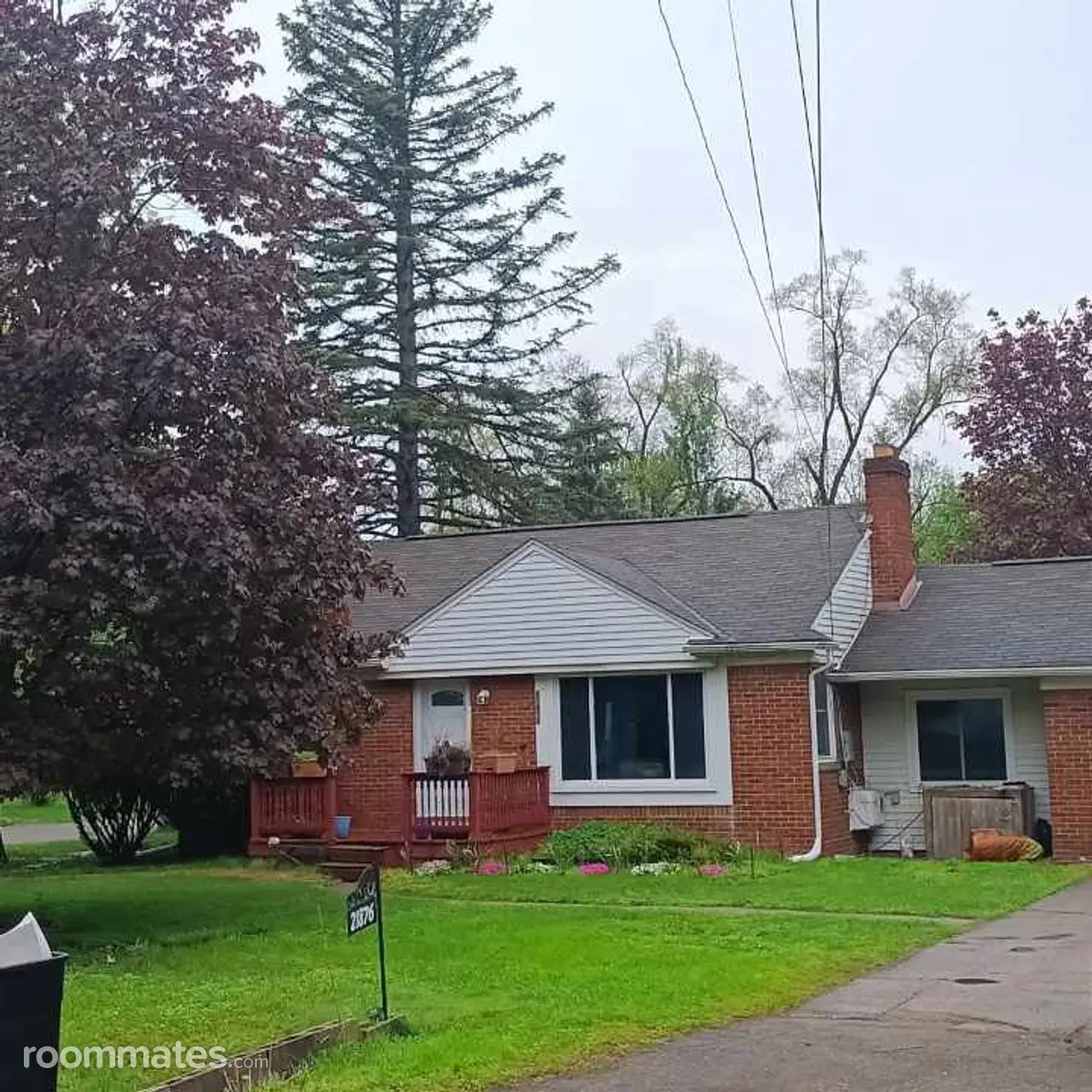 Profile photo 2 of 11