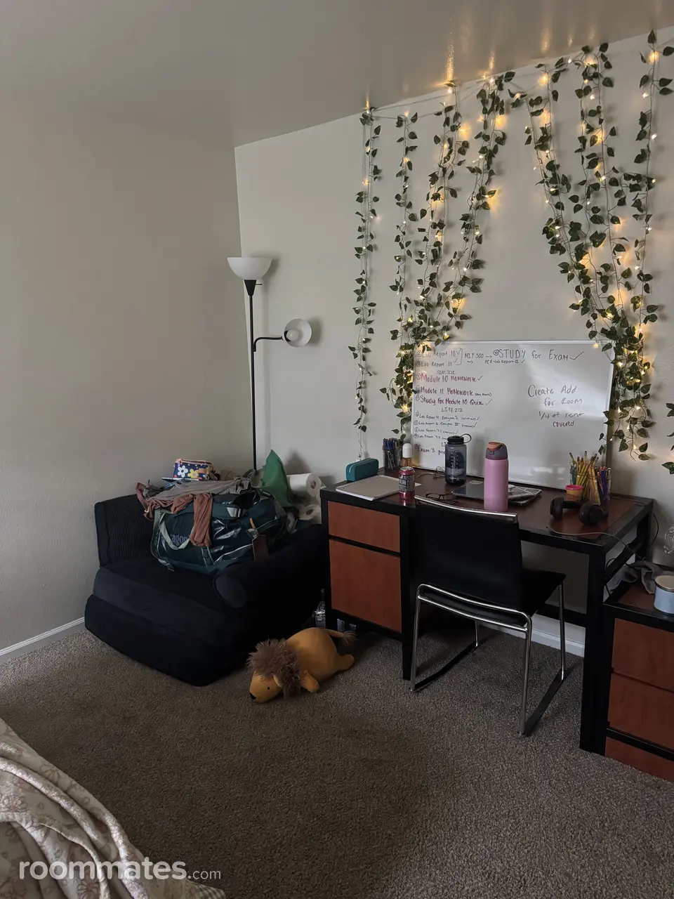 Profile photo 7 of 8