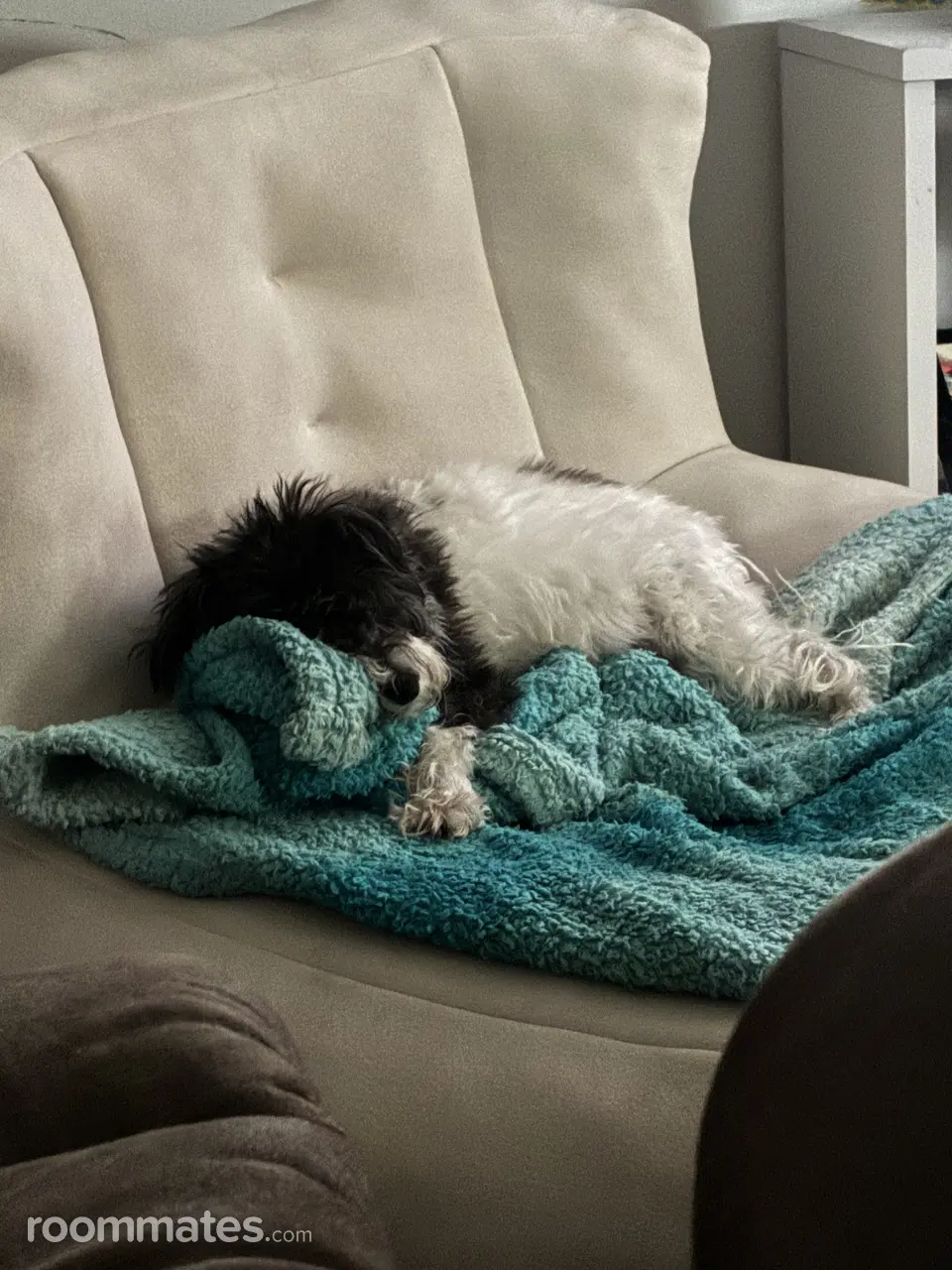 Profile photo 11 of 12