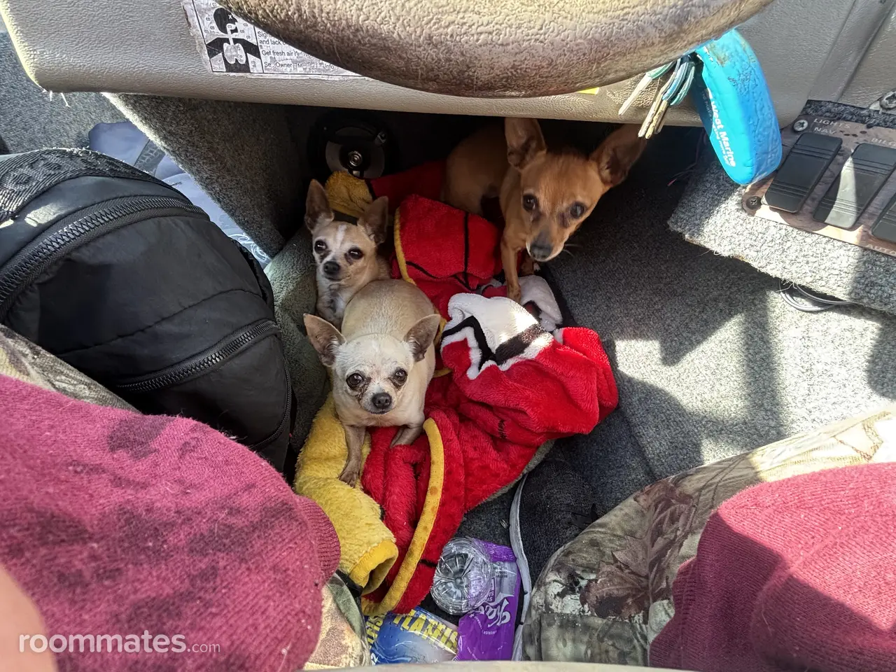 Profile photo 5 of 9