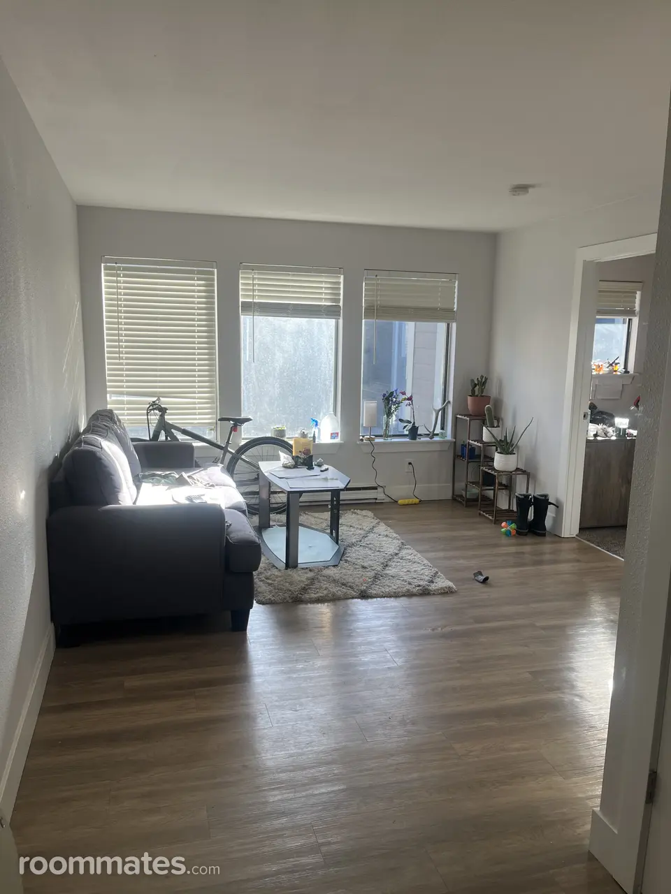 Profile photo 6 of 9