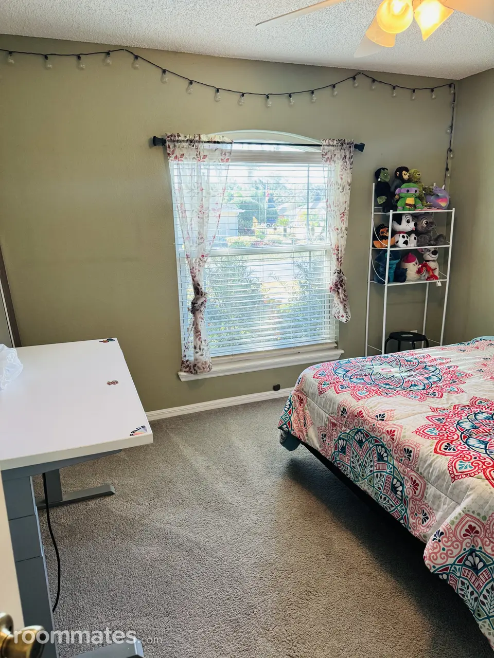 Profile photo 6 of 11