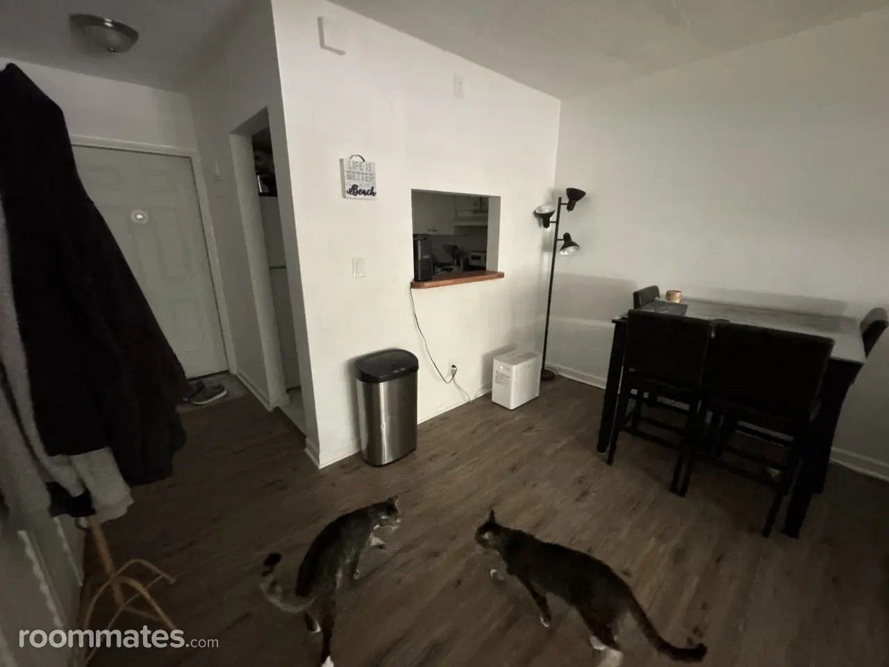 Profile photo 3 of 13