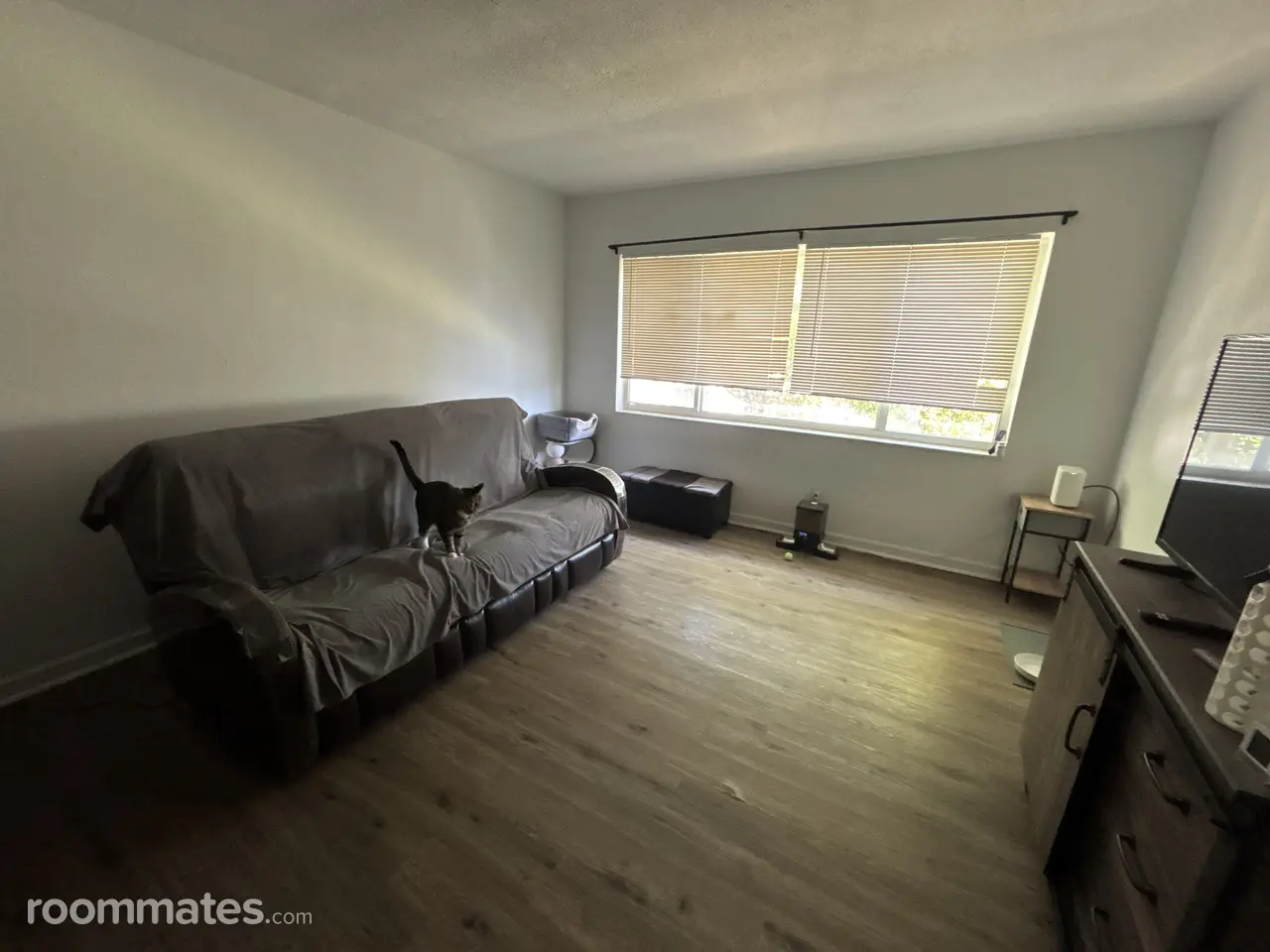 Profile photo 1 of 13