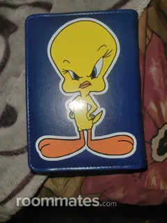 Room for rent in Kissimmee, FL $1000, house