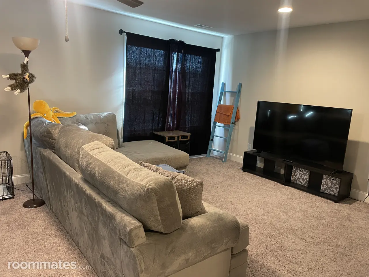 Profile photo 2 of 11