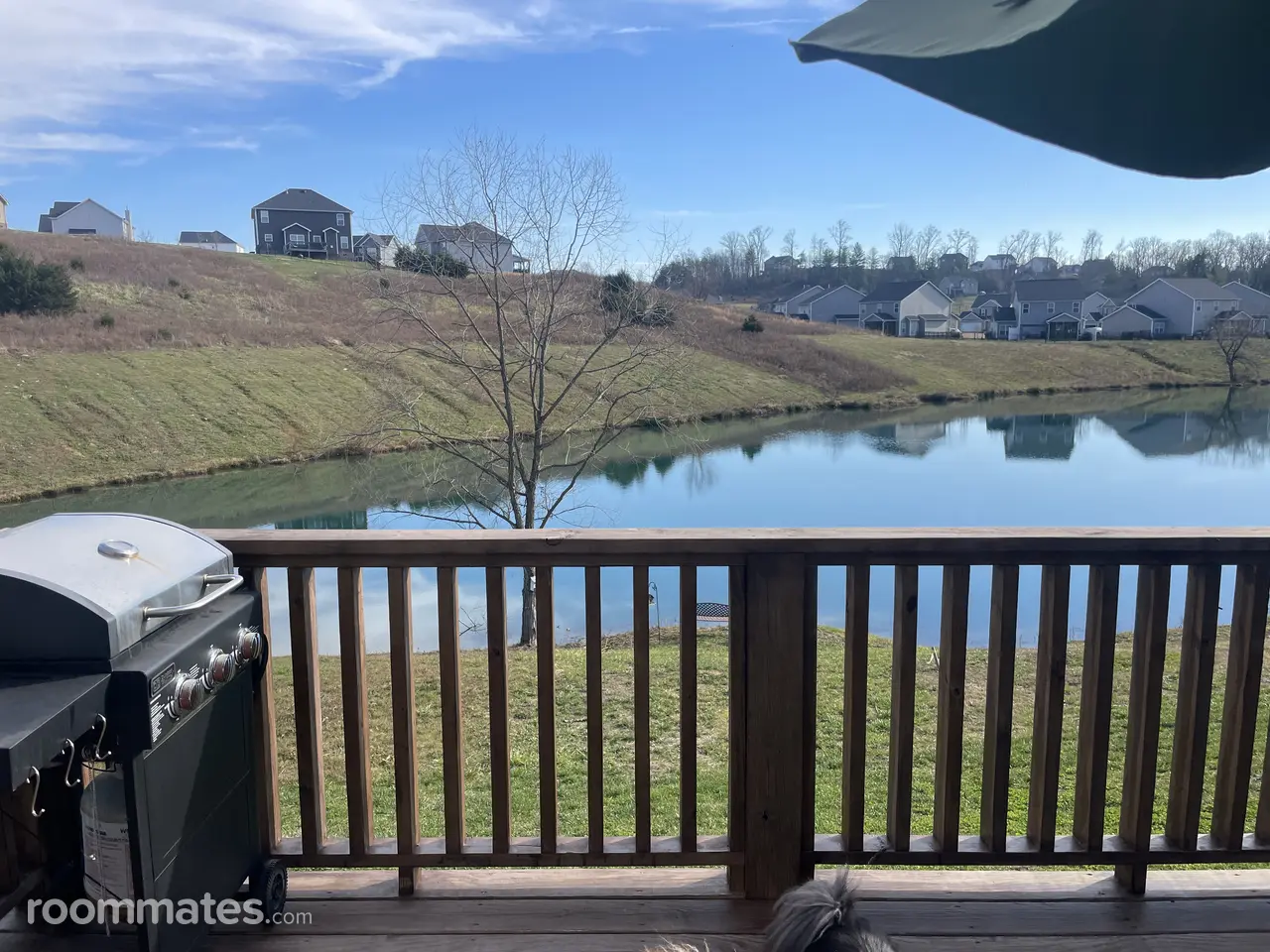 Profile photo 7 of 11