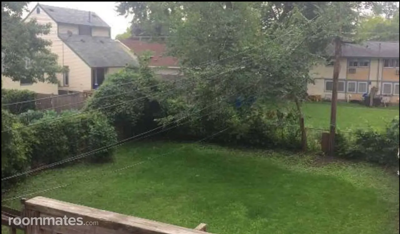 Profile photo 3 of 6