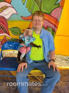 Roommate looking North Olmsted OH, $700