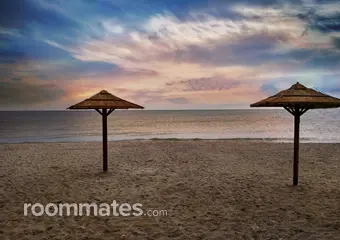 Roommate looking Charlotte, NC, $700