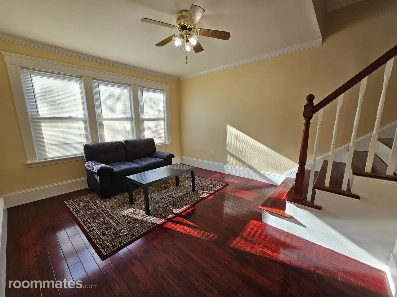 Profile photo 9 of 11