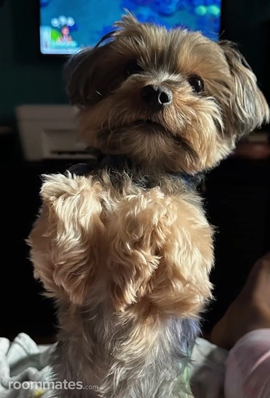 Profile photo 4 of 5