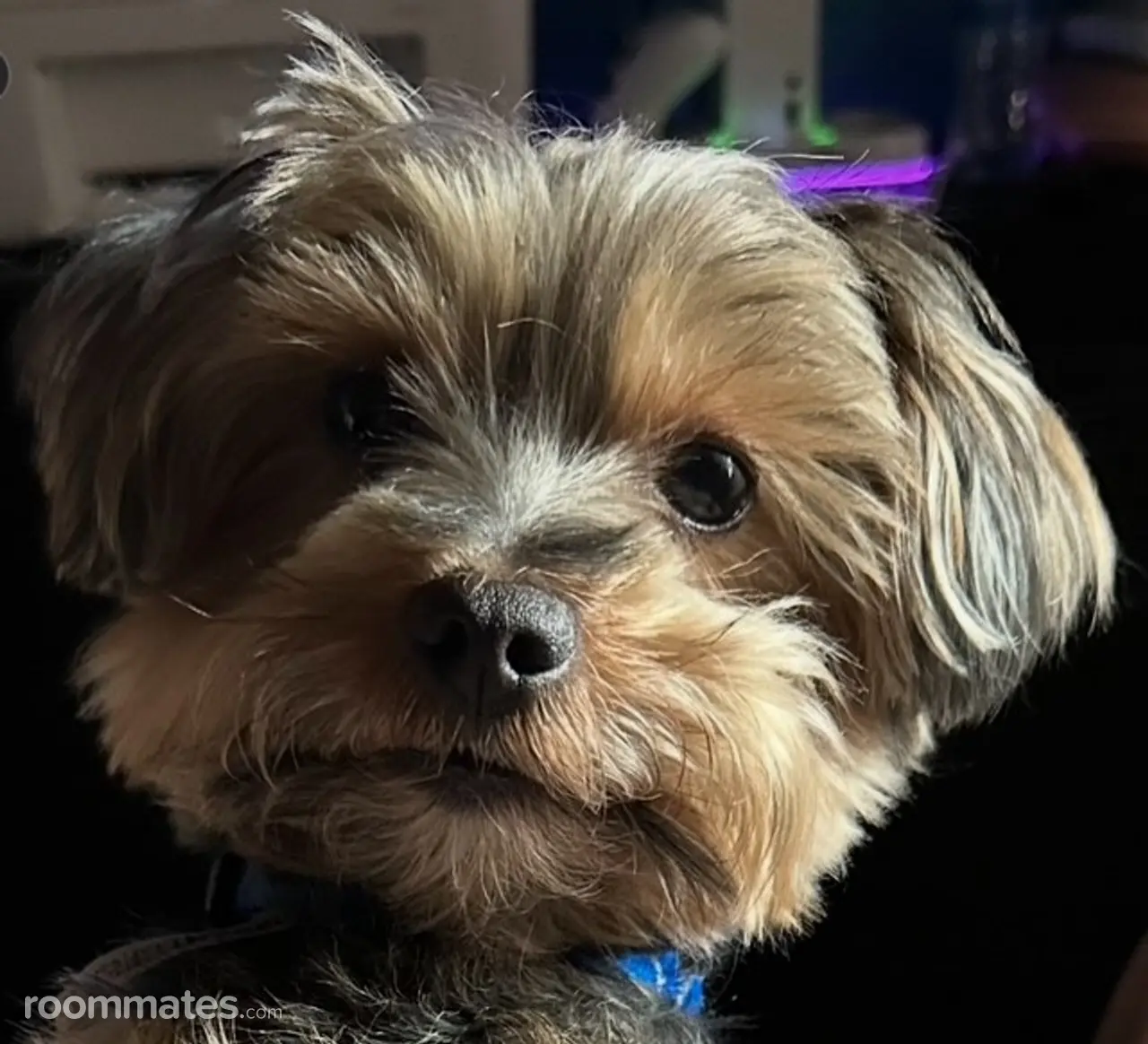 Profile photo 3 of 5