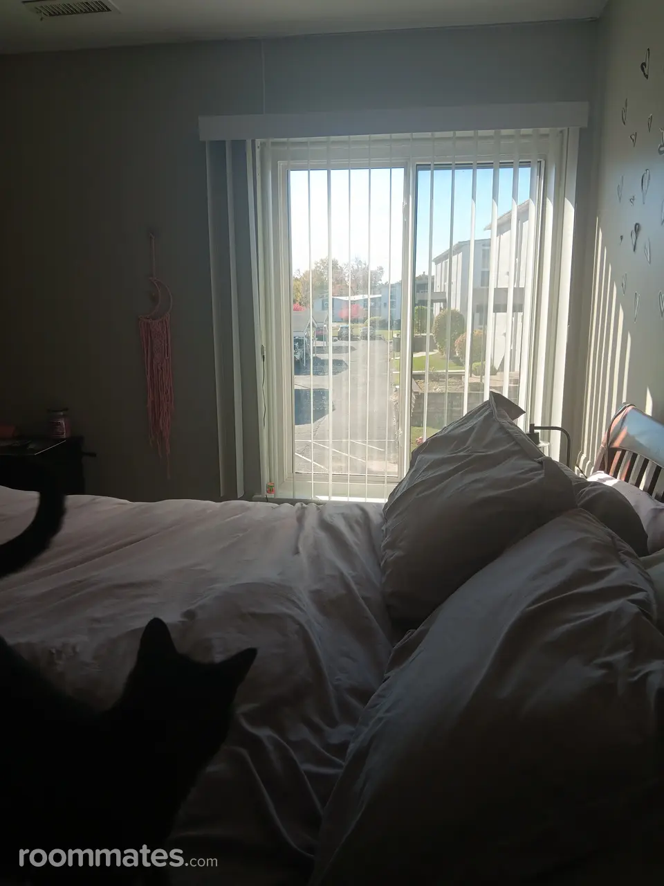 Profile photo 4 of 7