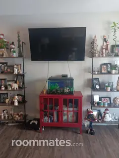 Room for rent in Canton, MI $650, apartment