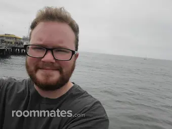 Roommate looking Rochester, NY, $1000